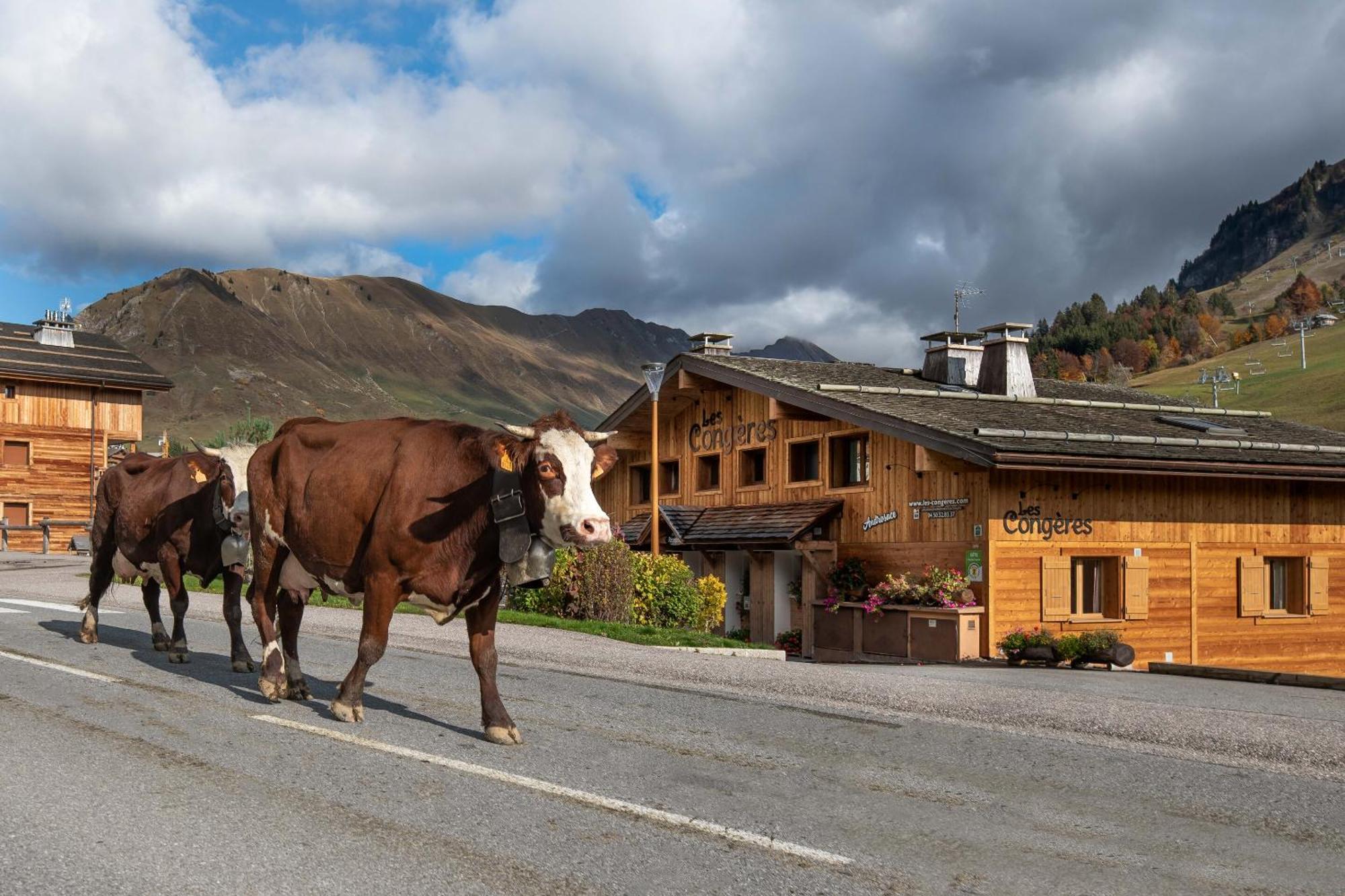 Les Congeres Villa Le Grand-Bornand Ruang foto